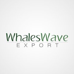Whales Wave Pvt Ltd